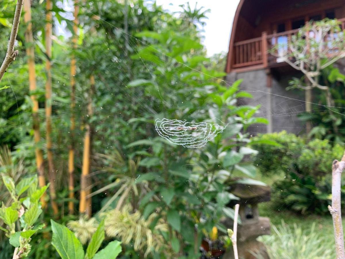 Sugita Wooden House Hotel Payangan Luaran gambar