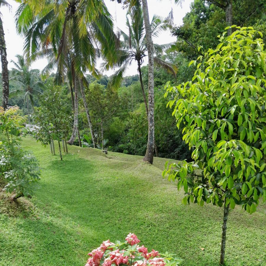 Sugita Wooden House Hotel Payangan Luaran gambar
